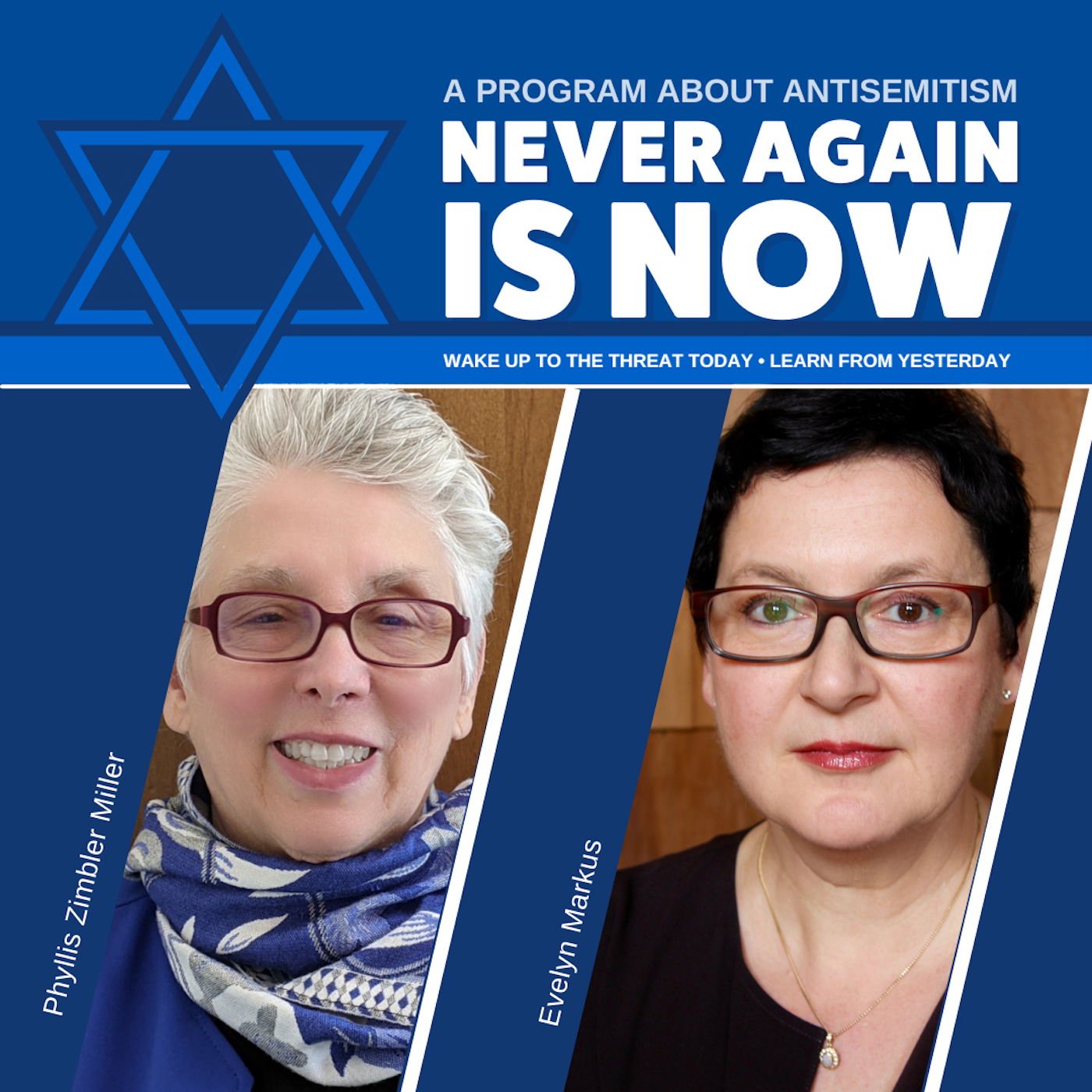 Never Again Is Now Podcast podcast artwork